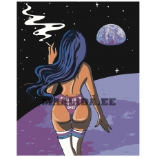 Maalid numbrite järgi WA25