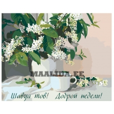 Maalid numbrite järgi Z-1011001062