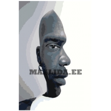 Maalid numbrite järgi Z-190819-7-4060