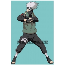 Maalid numbrite järgi Z-AB103