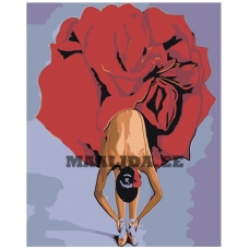 Maalid numbrite järgi Z-AB126