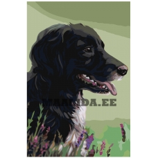 Maalid numbrite järgi Z-AB12