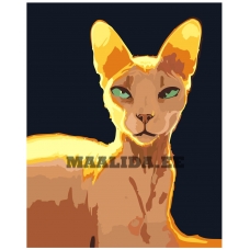 Maalid numbrite järgi Z-AB135