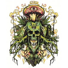 Maalid numbrite järgi Z-AB142