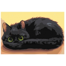 Maalid numbrite järgi Z-AB149