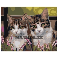 Maalid numbrite järgi Z-AB16