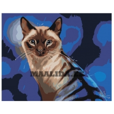 Maalid numbrite järgi Z-AB17