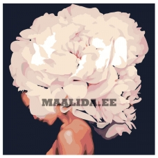 Maalid numbrite järgi Z-AB190