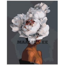 Maalid numbrite järgi Z-AB193