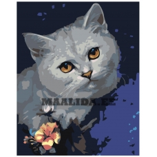 Maalid numbrite järgi Z-AB197