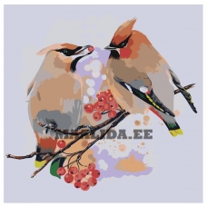 Maalid numbrite järgi Z-AB1