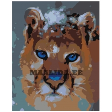 Maalid numbrite järgi Z-AB200