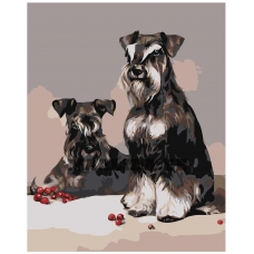 Maalid numbrite järgi Z-AB204