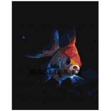 Maalid numbrite järgi Z-AB208