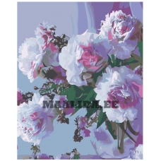 Maalid numbrite järgi Z-AB20