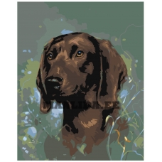 Maalid numbrite järgi Z-AB210