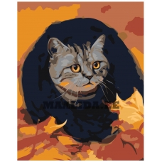 Maalid numbrite järgi Z-AB211