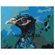 Maalid numbrite järgi Z-AB212