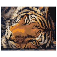 Maalid numbrite järgi Z-AB213