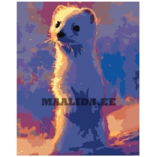 Maalid numbrite järgi Z-AB214