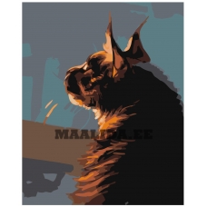 Maalid numbrite järgi Z-AB215