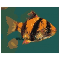 Maalid numbrite järgi Z-AB216