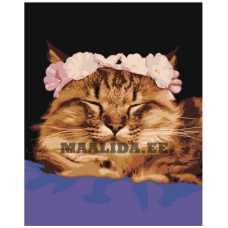 Maalid numbrite järgi Z-AB217