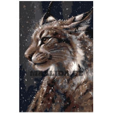 Maalid numbrite järgi Z-AB219