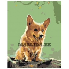 Maalid numbrite järgi Z-AB220