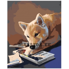 Maalid numbrite järgi Z-AB230