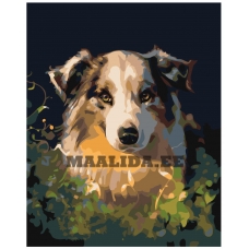 Maalid numbrite järgi Z-AB231