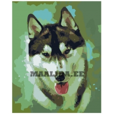 Maalid numbrite järgi Z-AB232