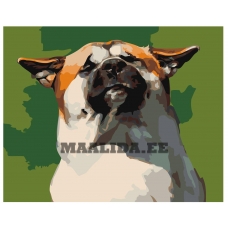 Maalid numbrite järgi Z-AB233