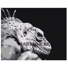 Maalid numbrite järgi Z-AB235