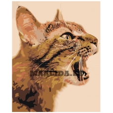 Maalid numbrite järgi Z-AB237