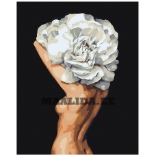 Maalid numbrite järgi Z-AB248