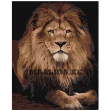 Maalid numbrite järgi Z-AB24