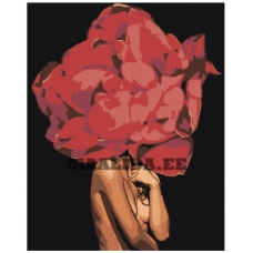 Maalid numbrite järgi Z-AB251