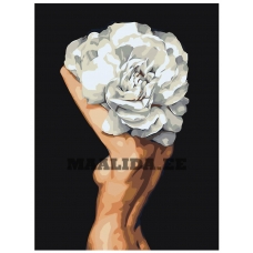 Maalid numbrite järgi Z-AB254