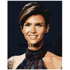 Maalid numbrite järgi Z-AB263