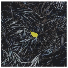 Maalid numbrite järgi Z-AB278