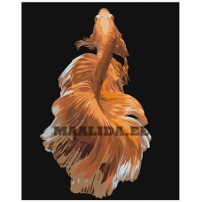 Maalid numbrite järgi Z-AB282