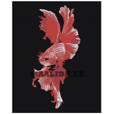 Maalid numbrite järgi Z-AB283