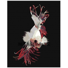 Maalid numbrite järgi Z-AB284