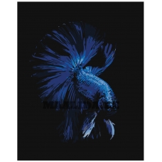 Maalid numbrite järgi Z-AB285