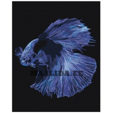 Maalid numbrite järgi Z-AB286