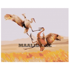 Maalid numbrite järgi Z-AB289