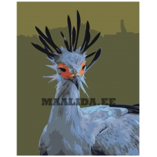 Maalid numbrite järgi Z-AB290