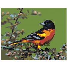 Maalid numbrite järgi Z-AB293