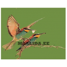 Maalid numbrite järgi Z-AB295